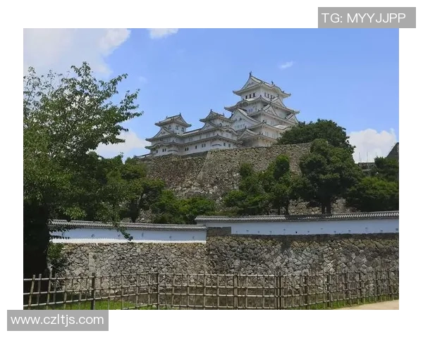 日本足球明星的城堡传说与荣耀之路探索 日本足球明星的城堡传说与荣耀之路探索
