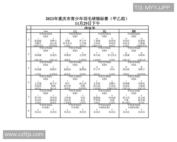 重庆羽毛球队在洲际杯中的耐力表现分析与启示